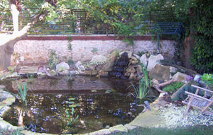 bassin