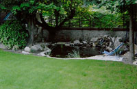 creation_bassin6