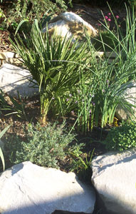 creation-jardin64