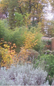 creation-jardin38