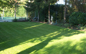 pelouse1