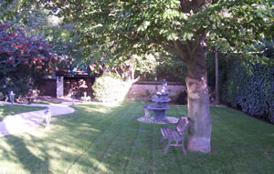 pelouse2