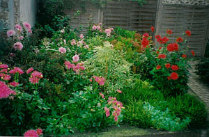 plantation terrasses